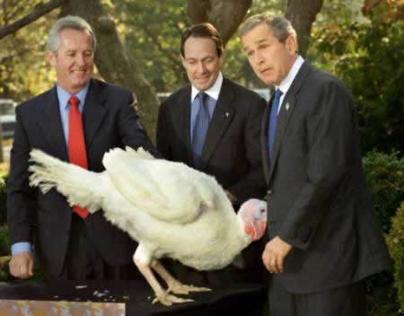 George W. Bush wish a turkey